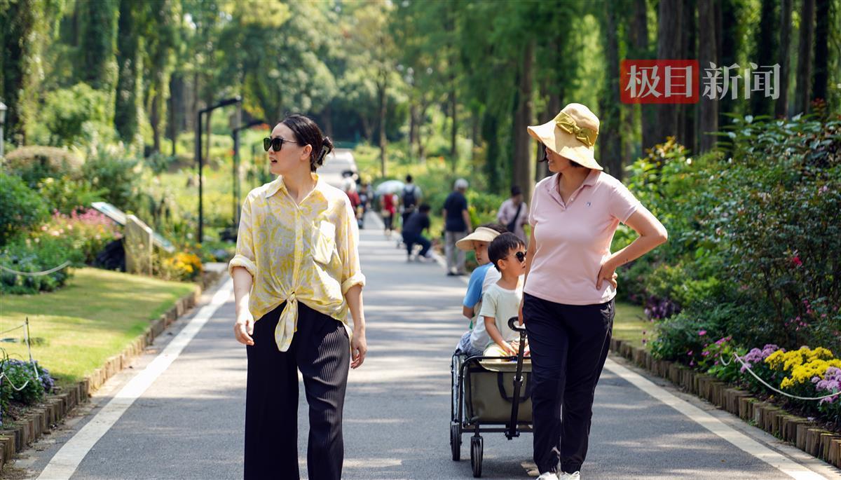 巨人娱乐线路检测